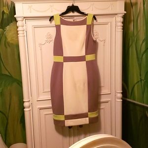 Maggie London Stealth Dress